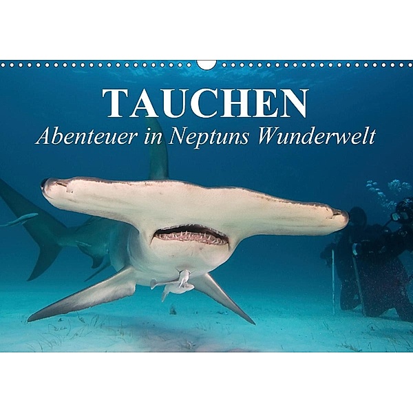 Tauchen - Abenteuer in Neptuns Wunderwelt (Wandkalender 2021 DIN A3 quer), Elisabeth Stanzer