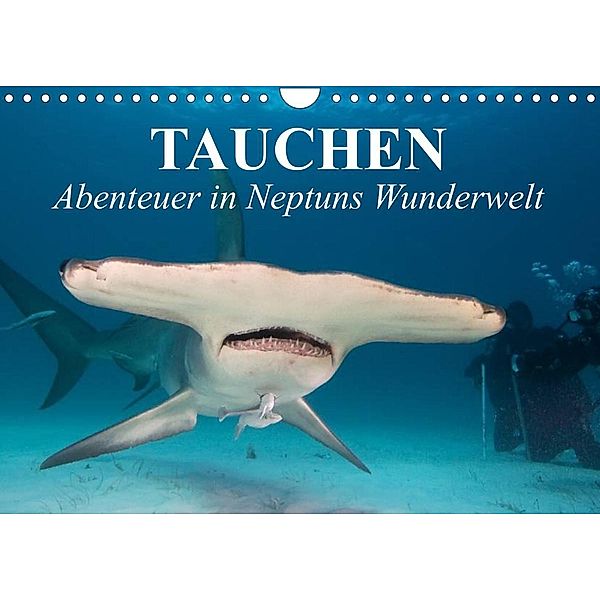 Tauchen - Abenteuer in Neptuns Wunderwelt (Wandkalender 2023 DIN A4 quer), Elisabeth Stanzer