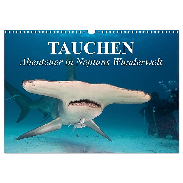 Tauchen - Abenteuer in Neptuns Wunderwelt (Wandkalender 2024 DIN A3 quer), CALVENDO Monatskalender, Elisabeth Stanzer