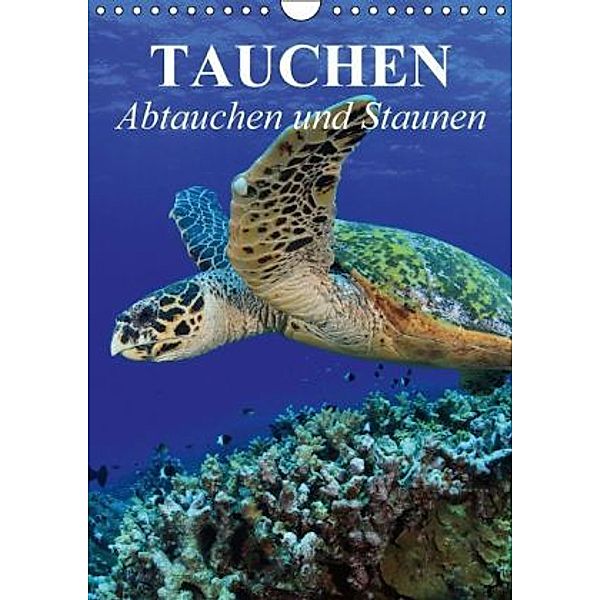 Tauchen Abtauchen und Staunen / Planer (Wandkalender 2015 DIN A4 hoch), Elisabeth Stanzer
