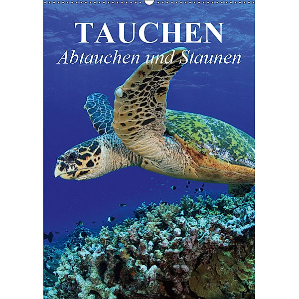 Tauchen - Abtauchen und Staunen (Wandkalender 2019 DIN A2 hoch), Elisabeth Stanzer