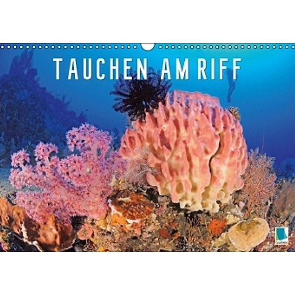 Tauchen am Riff (Wandkalender 2015 DIN A3 quer), Calvendo