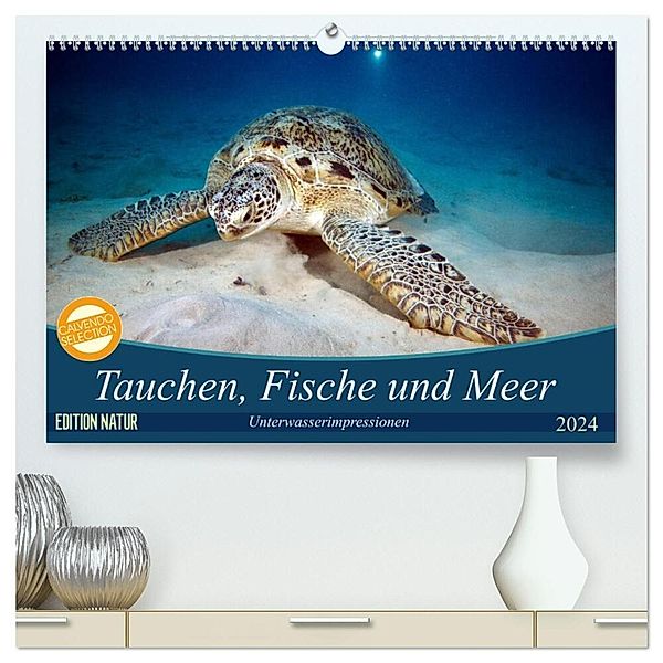 Tauchen, Fische und Meer (hochwertiger Premium Wandkalender 2024 DIN A2 quer), Kunstdruck in Hochglanz, Sven Gruse