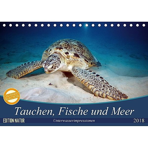 Tauchen, Fische und Meer (Tischkalender 2018 DIN A5 quer), Sven Gruse