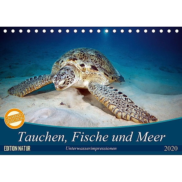 Tauchen, Fische und Meer (Tischkalender 2020 DIN A5 quer), Sven Gruse