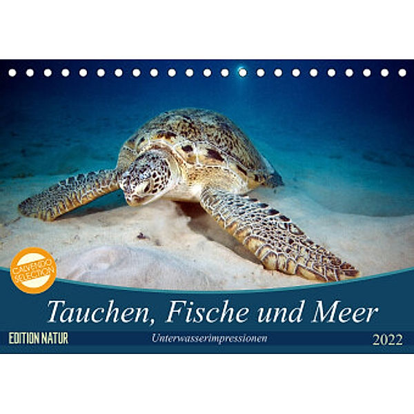 Tauchen, Fische und Meer (Tischkalender 2022 DIN A5 quer), Sven Gruse