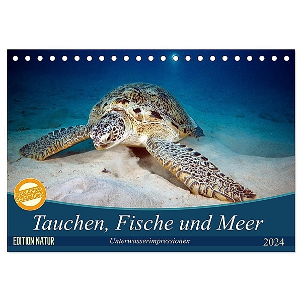 Tauchen, Fische und Meer (Tischkalender 2024 DIN A5 quer), CALVENDO Monatskalender, Sven Gruse