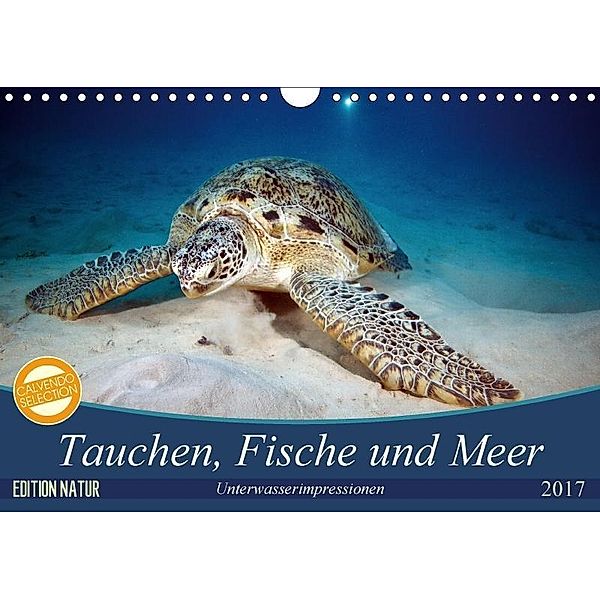 Tauchen, Fische und Meer (Wandkalender 2017 DIN A4 quer), Sven Gruse