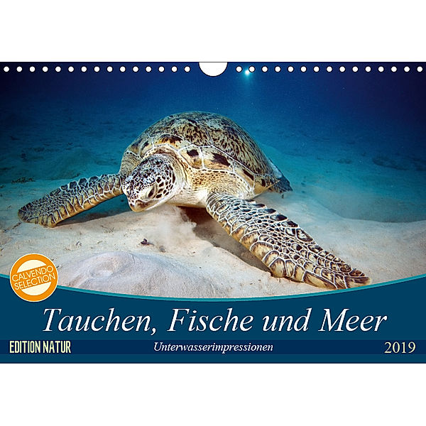 Tauchen, Fische und Meer (Wandkalender 2019 DIN A4 quer), Sven Gruse