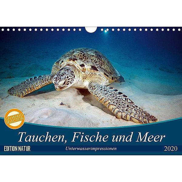 Tauchen, Fische und Meer (Wandkalender 2020 DIN A4 quer), Sven Gruse