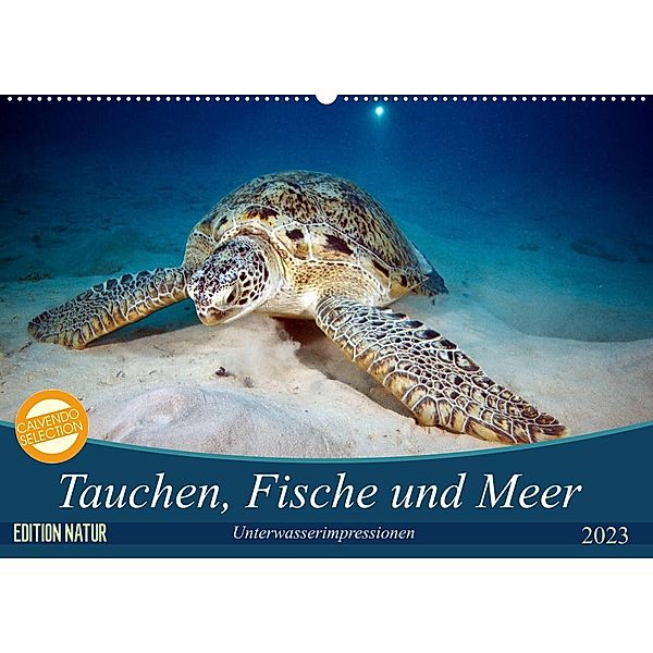 Tauchen, Fische und Meer (Wandkalender 2023 DIN A2 quer), Sven Gruse