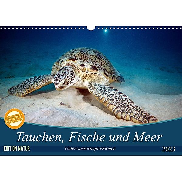 Tauchen, Fische und Meer (Wandkalender 2023 DIN A3 quer), Sven Gruse