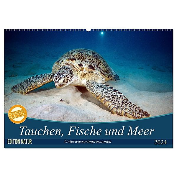 Tauchen, Fische und Meer (Wandkalender 2024 DIN A2 quer), CALVENDO Monatskalender, Sven Gruse