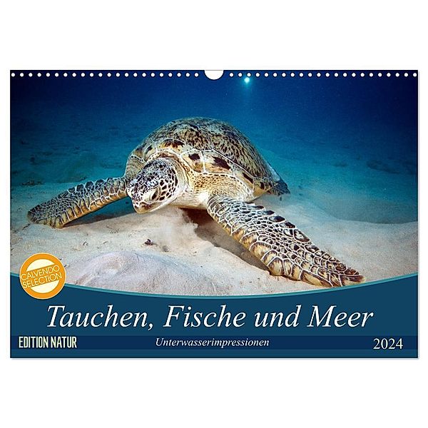 Tauchen, Fische und Meer (Wandkalender 2024 DIN A3 quer), CALVENDO Monatskalender, Sven Gruse