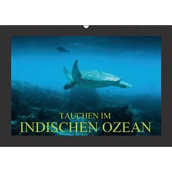 Tauchen im Indischen Ozean (Wandkalender 2016 DIN A2 quer), Dirk Meutzner