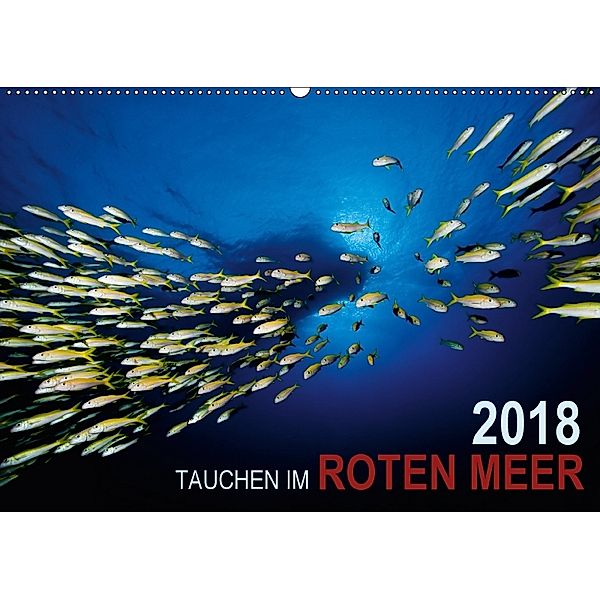 Tauchen im Roten Meer 2018 (Wandkalender 2018 DIN A2 quer), Bartosz Strozynski