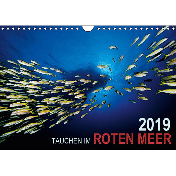 Tauchen im Roten Meer 2019 (Wandkalender 2019 DIN A4 quer), Bartosz Strozynski