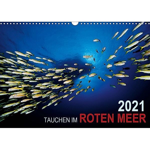Tauchen im Roten Meer 2021 (Wandkalender 2021 DIN A3 quer), Bartosz Strozynski