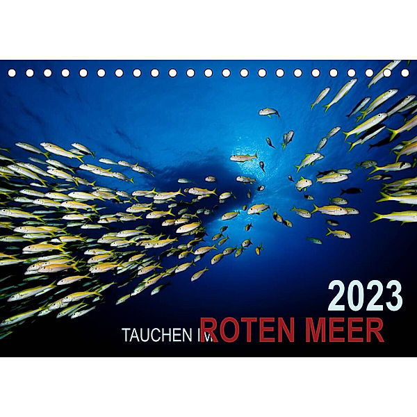 Tauchen im Roten Meer 2023 (Tischkalender 2023 DIN A5 quer), Bartosz Strozynski
