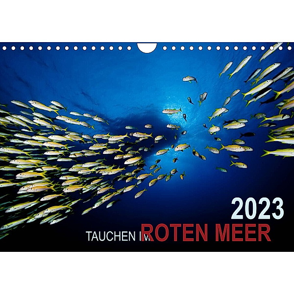 Tauchen im Roten Meer 2023 (Wandkalender 2023 DIN A4 quer), Bartosz Strozynski