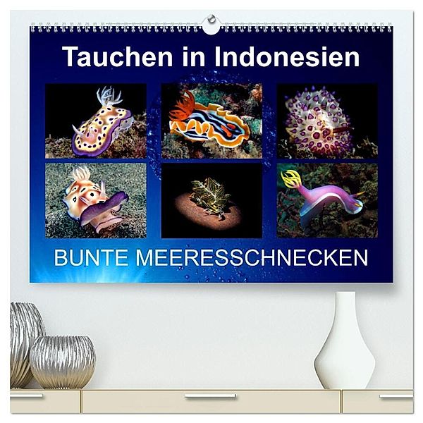 Tauchen in Indonesien - BUNTE MEERESSCHNECKEN (hochwertiger Premium Wandkalender 2024 DIN A2 quer), Kunstdruck in Hochglanz, Kathrin Landgraf-Kluge