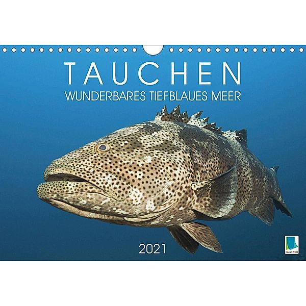 Tauchen: Wunderbares tiefblaues Meer (Wandkalender 2021 DIN A4 quer), Calvendo