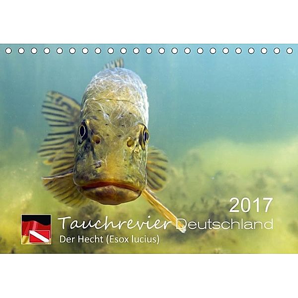 Tauchrevier Deutschland - Der Hecht (Esox lucius) (Tischkalender 2017 DIN A5 quer), Mario Merkel. Tauchrevier Deutschland