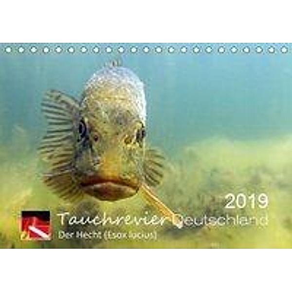 Tauchrevier Deutschland - Der Hecht (Esox lucius) (Tischkalender 2019 DIN A5 quer), Mario Merkel. Tauchrevier Deutschland