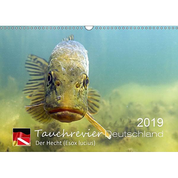 Tauchrevier Deutschland - Der Hecht (Esox lucius) (Wandkalender 2019 DIN A3 quer), Mario Merkel. Tauchrevier Deutschland