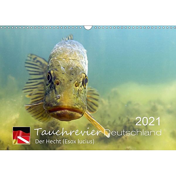 Tauchrevier Deutschland - Der Hecht (Esox lucius) (Wandkalender 2021 DIN A3 quer), Mario Merkel. Tauchrevier Deutschland