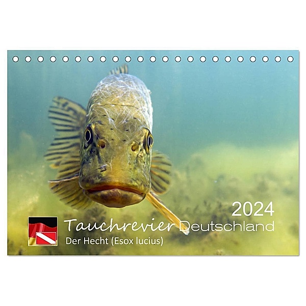 Tauchrevier Deutschland - Der Hecht (Esox lucius) (Tischkalender 2024 DIN A5 quer), CALVENDO Monatskalender, Mario Merkel. Tauchrevier Deutschland