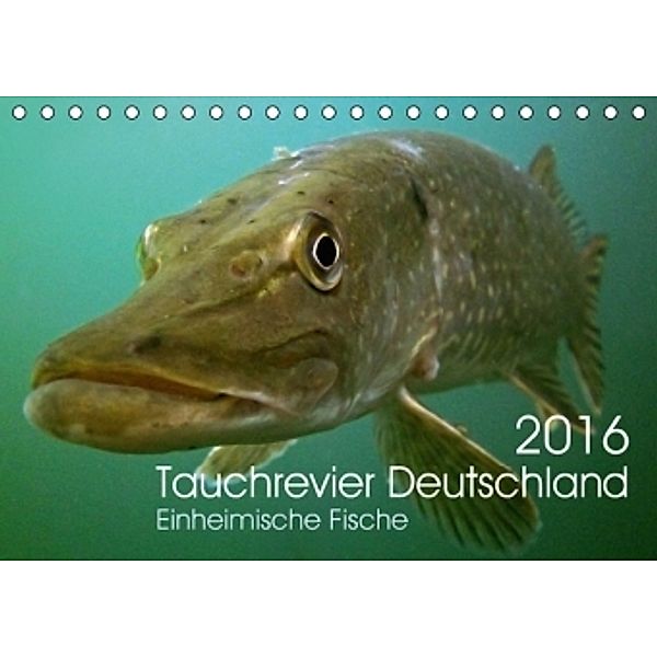 Tauchrevier Deutschland (Tischkalender 2016 DIN A5 quer), Mario Merkel - Tauchrevier Deutschland