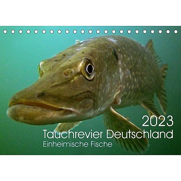 Tauchrevier Deutschland (Tischkalender 2023 DIN A5 quer), Mario Merkel - Tauchrevier Deutschland