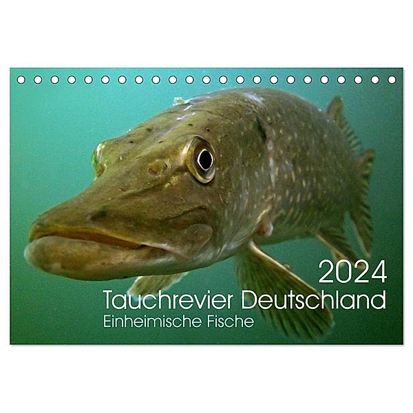Tauchrevier Deutschland (Tischkalender 2024 DIN A5 quer), CALVENDO Monatskalender, Mario Merkel - Tauchrevier Deutschland