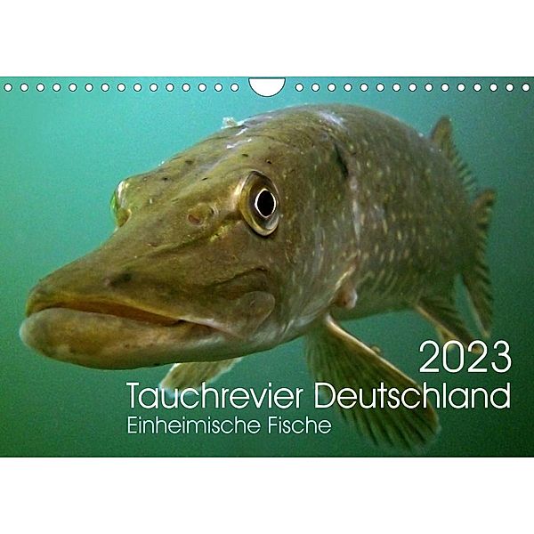 Tauchrevier Deutschland (Wandkalender 2023 DIN A4 quer), Mario Merkel - Tauchrevier Deutschland