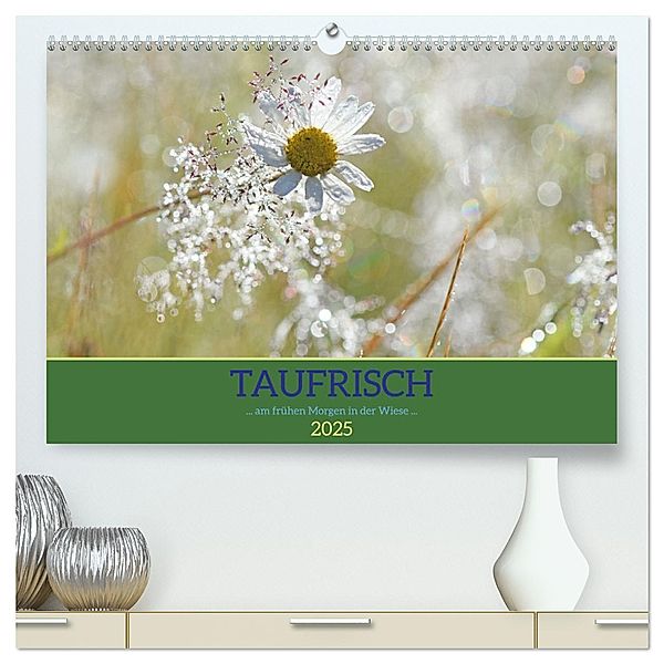 Taufrisch ... am frühen Morgen in der Wiese (hochwertiger Premium Wandkalender 2025 DIN A2 quer), Kunstdruck in Hochglanz, Calvendo, Gugigei