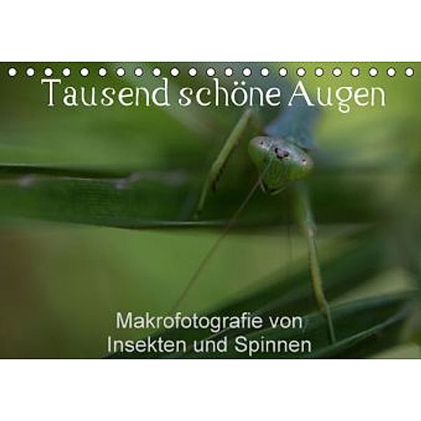 Tausend schöne Augen (Tischkalender 2015 DIN A5 quer), Antje Hopfmann