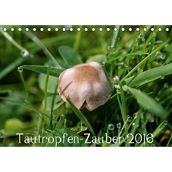 Tautropfen-Zauber 2016 (Tischkalender 2016 DIN A5 quer), Frank Leuffen