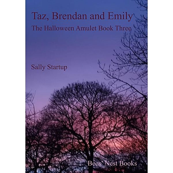 Taz, Brendan and Emily (The Halloween Amulet, #3) / The Halloween Amulet, Sally Startup