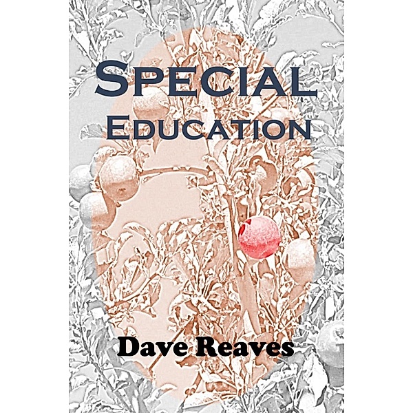 Teaching Guides: Special Education (Teaching Guides), Dave Reaves