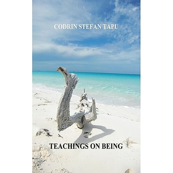 Teachings on Being, Codrin Stefan Tapu