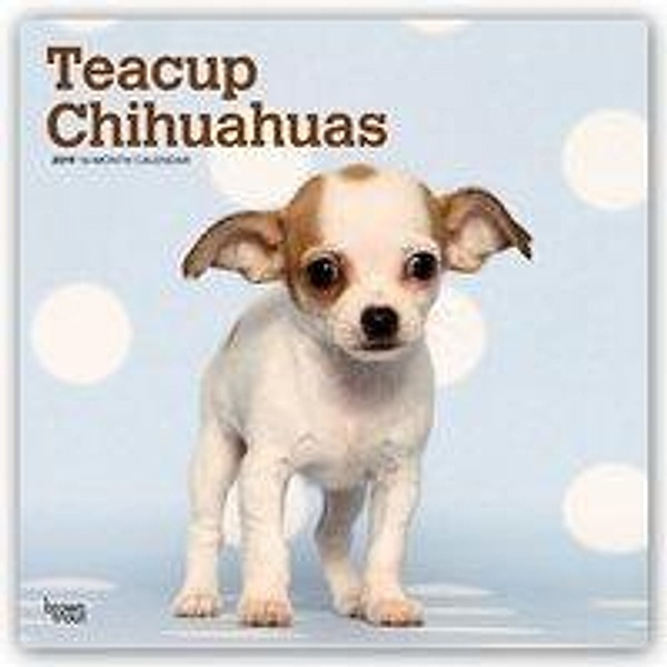 Teacup Chihuahuas 2019 - 18-Monatskalender mit freier DogDay