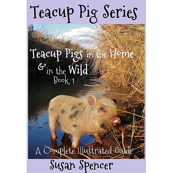 Teacup Pigs in the Home and in the Wild / Susan Spencer, Susan Spencer