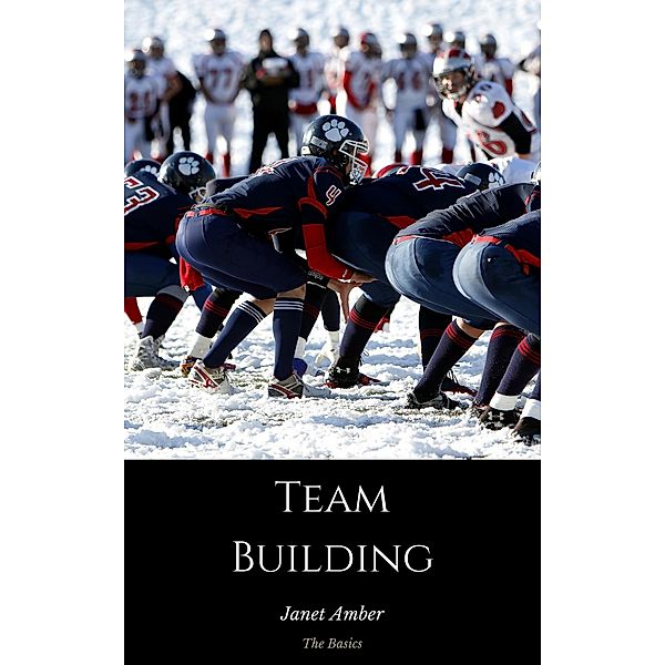 Team Building: The Basics, Janet Amber