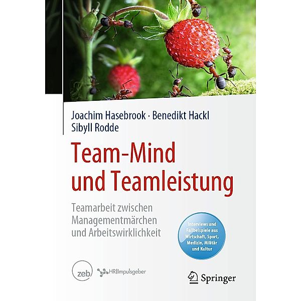 Team-Mind und Teamleistung, Joachim Hasebrook, Benedikt Hackl, Sibyll Rodde