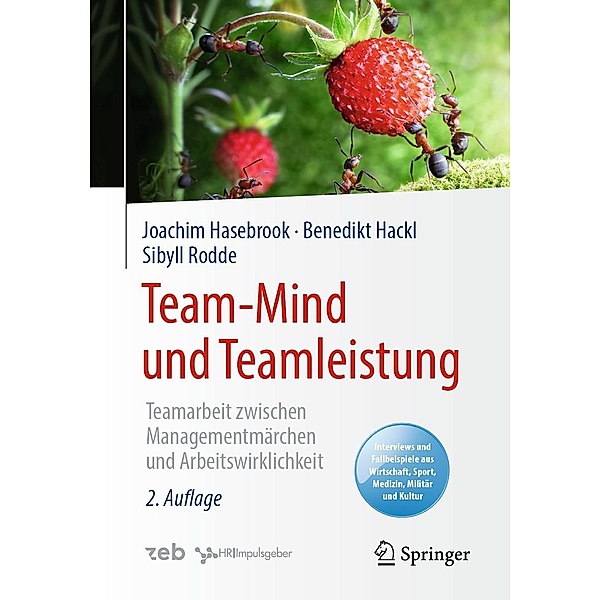 Team-Mind und Teamleistung, Joachim Hasebrook, Benedikt Hackl, Sibyll Rodde