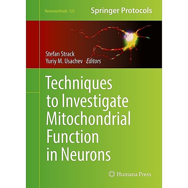 Techniques to Investigate Mitochondrial Function in Neurons / Neuromethods Bd.123