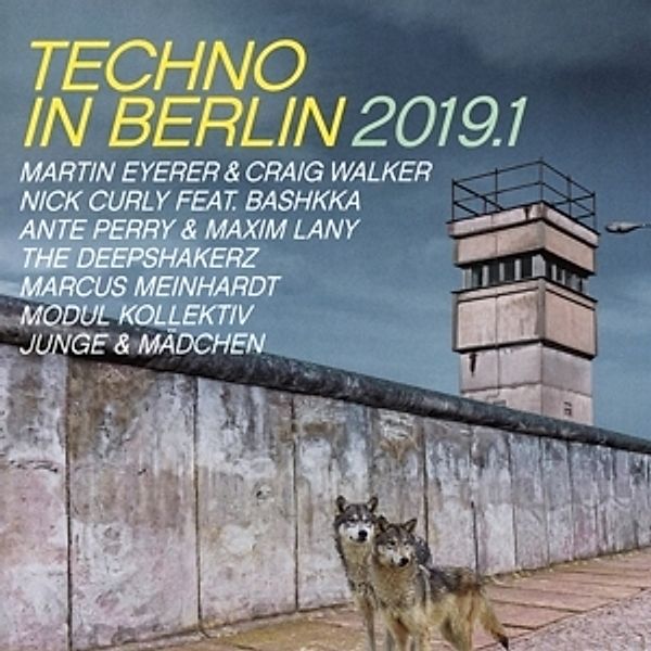 Techno In Berlin 2019.1, Diverse Interpreten