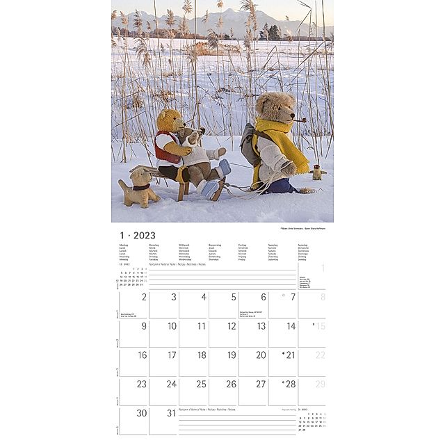  Teddy 2022 - Broschürenkalender 30x30 cm (30x60 geöffnet) -  Kalender mit Platz für Notizen - Bildkalender - Wandplaner - mit  herausnehmbarem Poster : Everything Else