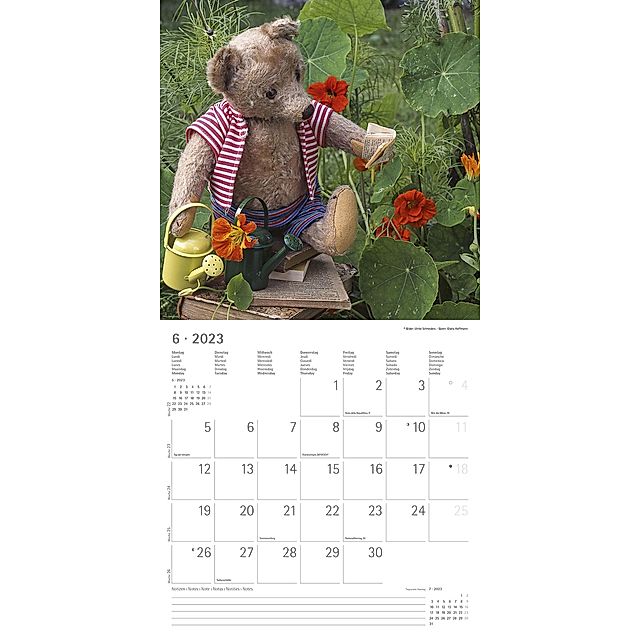  Teddy 2022 - Broschürenkalender 30x30 cm (30x60